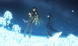 魔法使之夜动漫,探寻命运交织的奇幻旅程