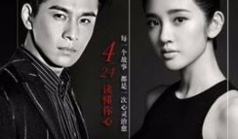 心理电视剧,揭秘心理剧中的情感密码